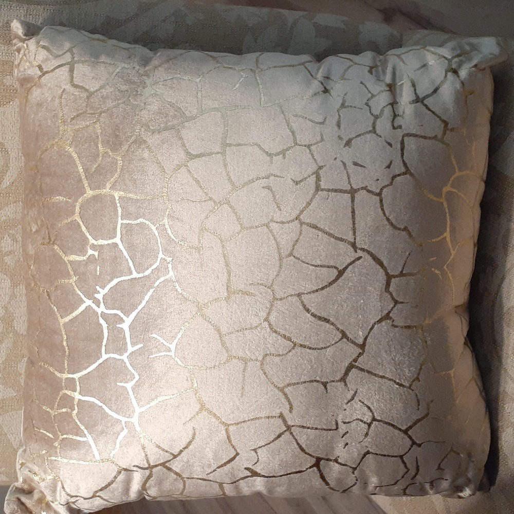 SAFAVIEH ACCENT PILLOWS NWT 18X18